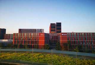 广西草坪护栏网