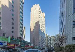 苏州铜拉丝油供应