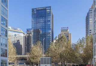 Microvirga aerophila