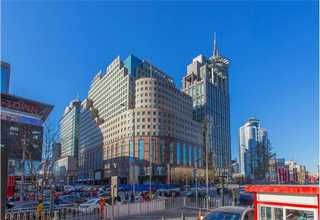 南沙区垂柳树苗