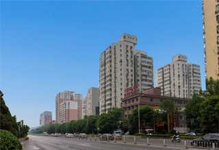 东北临床牙托粉颜色