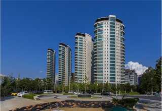 广州福尔波西格林皮带报价